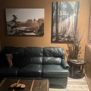 CC-01-16 - Club Car atmospheric living area where soft light create a warm, moody sanctuary