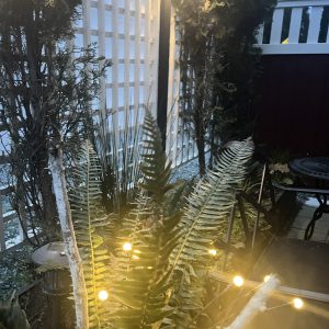 CC-01-18 - Club Car enchanting nigh time retreat where "firefly" lights twinkle above the native plantings and ferns, a whimsical end to your PNW stay