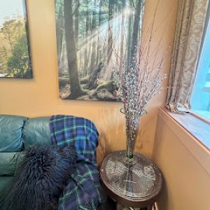 CC-01-04 - Club Car living area detail featuring a plush sofa with a tartan throw, pussy willow arrangement, and sun-drenched forest wall art