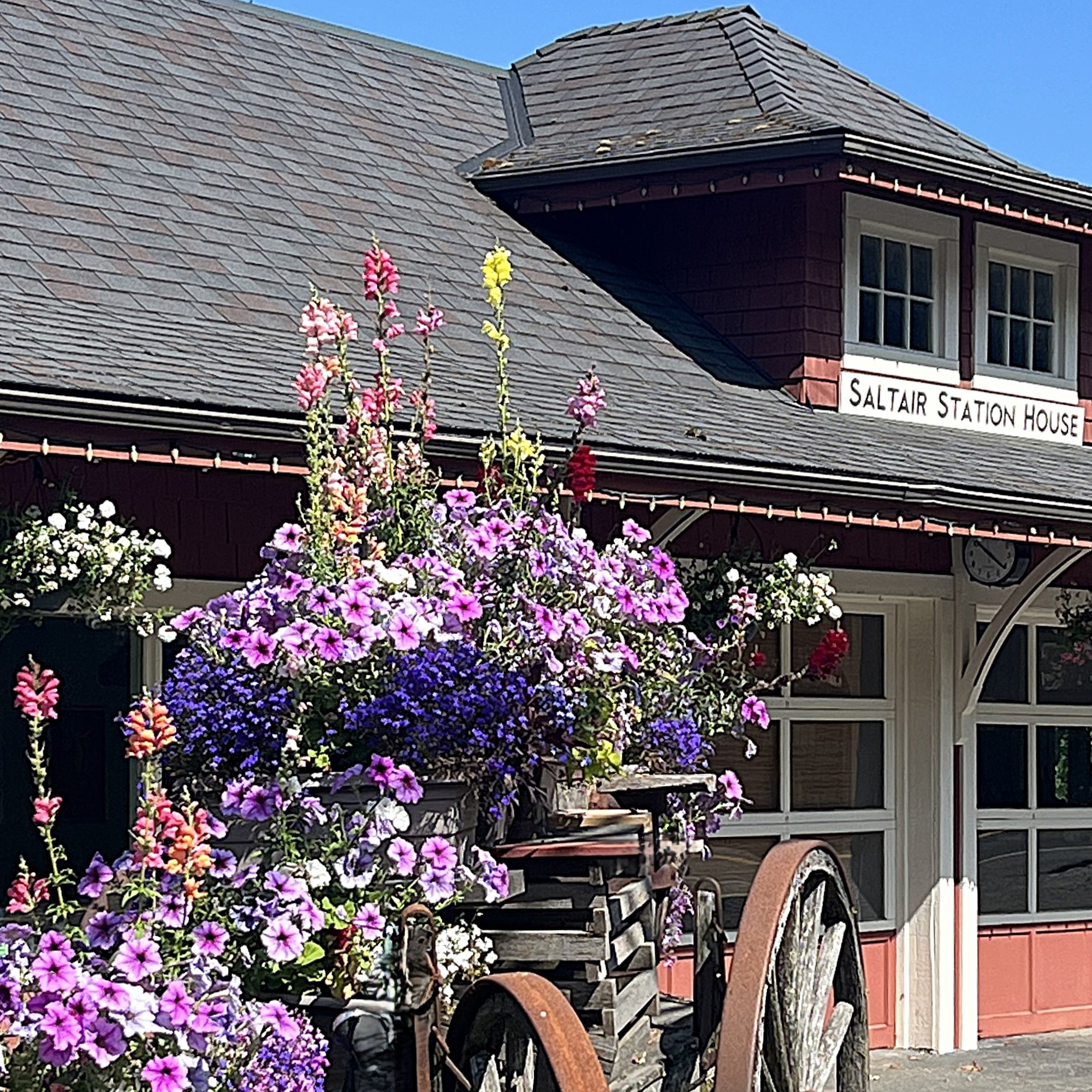 SSH Front Garden Suite SQ SSH Front Garden Suite SQ