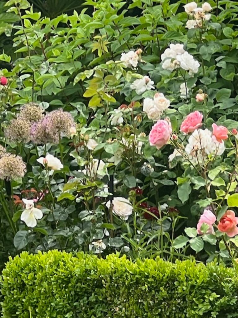 23d1d064-119e-4bf2-a08d-e8b80bf7ab87