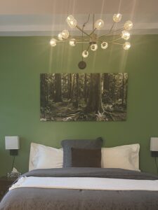 STA-04-13 - Club Car primary bedroom Forest